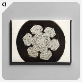 アートパネル-Wilson Bentley Photomicrograph of Stellar Snowflake No. 1055 - ウィルソン ベントレー Canvas.
