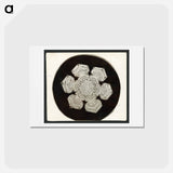 アートポストカード-Wilson Bentley Photomicrograph of Stellar Snowflake No. 1055 - ウィルソン ベントレー Postcard.
