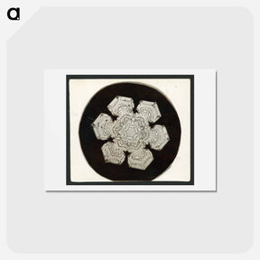 アートポストカード-Wilson Bentley Photomicrograph of Stellar Snowflake No. 1055 - ウィルソン ベントレー Postcard.
