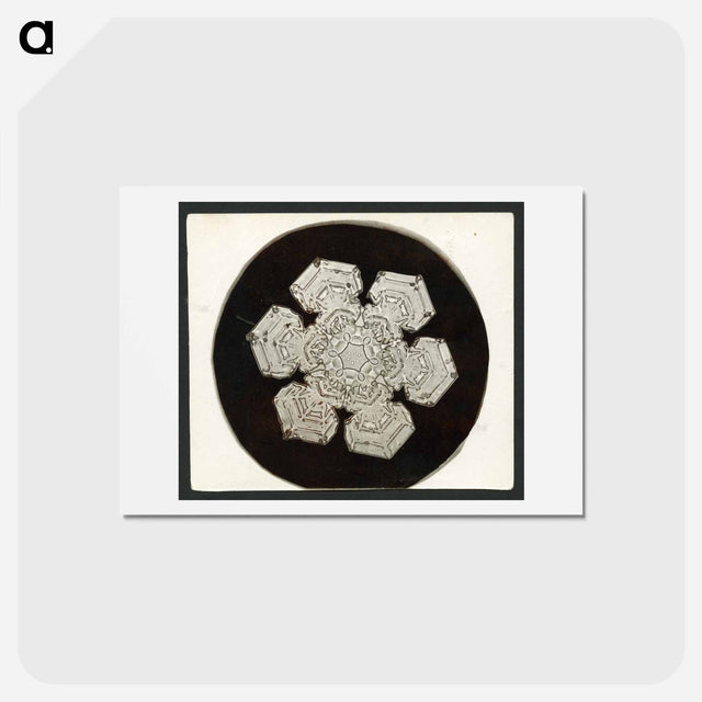 アートポストカード-Wilson Bentley Photomicrograph of Stellar Snowflake No. 1055 - ウィルソン ベントレー Postcard.