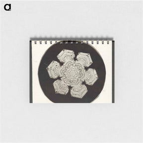 アートメモ帳-Wilson Bentley Photomicrograph of Stellar Snowflake No. 1055 - ウィルソン ベントレー Memo.