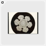 アートポストカード-Wilson Bentley Photomicrograph of Stellar Snowflake No. 1055 - ウィルソン ベントレー Postcard.