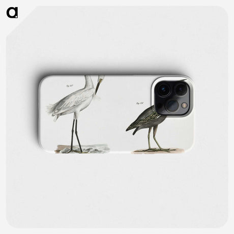1-30_Zoology-of-New-York_phone