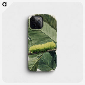 1-31_Abbott-Handerson-Thayer_phone