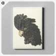 1-31_Aert-Schouman_canvas