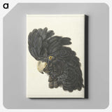 1-31_Aert-Schouman_canvas