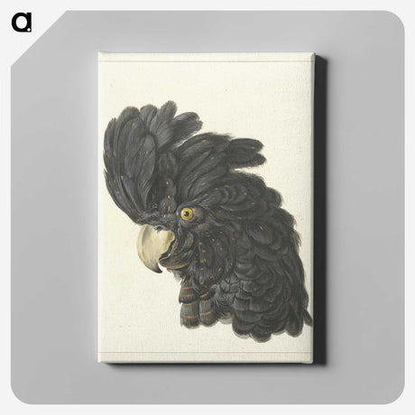 1-31_Aert-Schouman_canvas