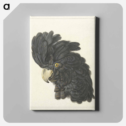 Head of a Cockatoo - アールト シューマン Canvas.