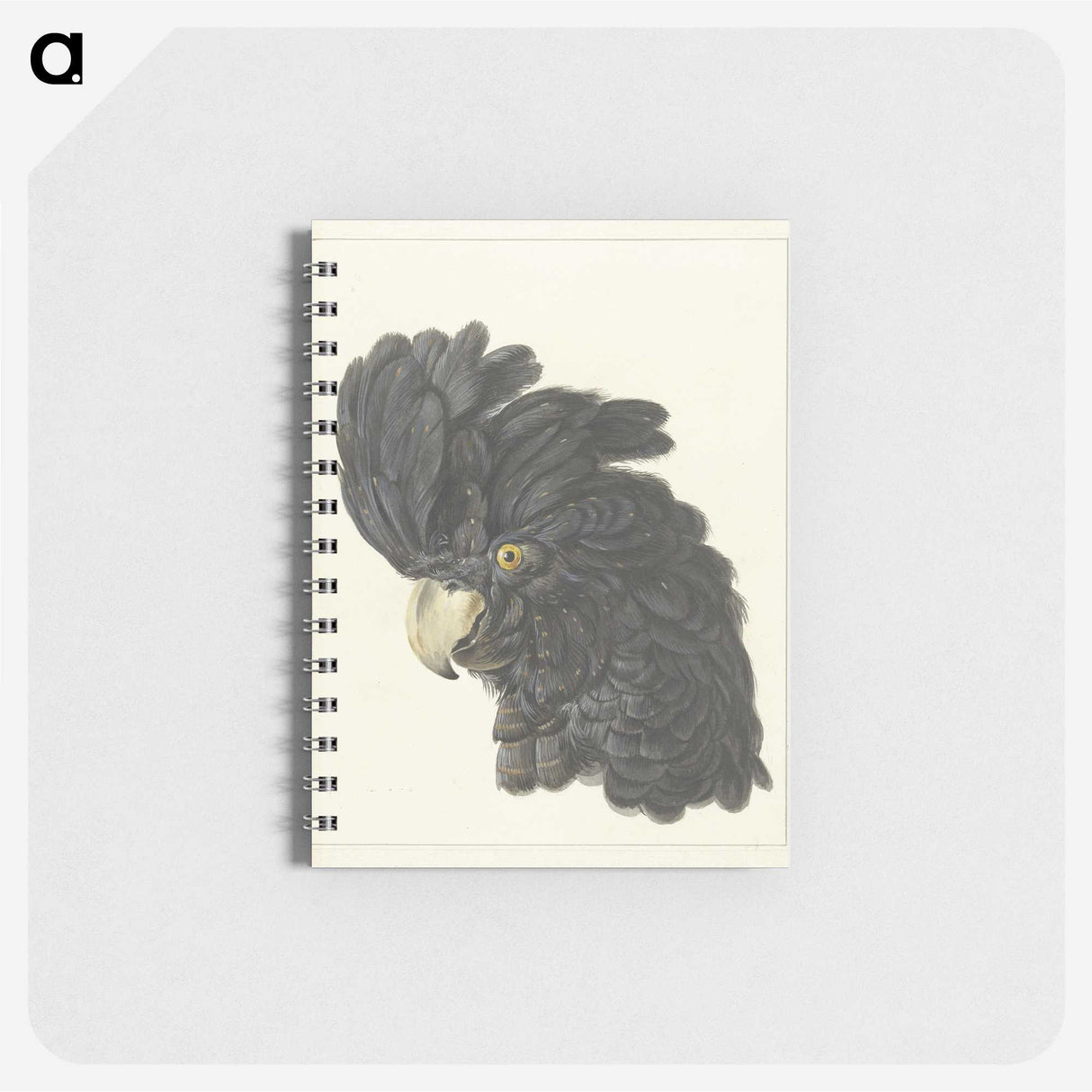1-31_Aert-Schouman_memo