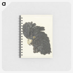 1-31_Aert-Schouman_memo