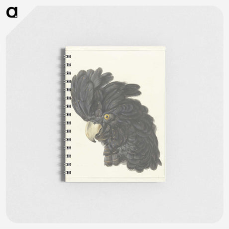 1-31_Aert-Schouman_memo