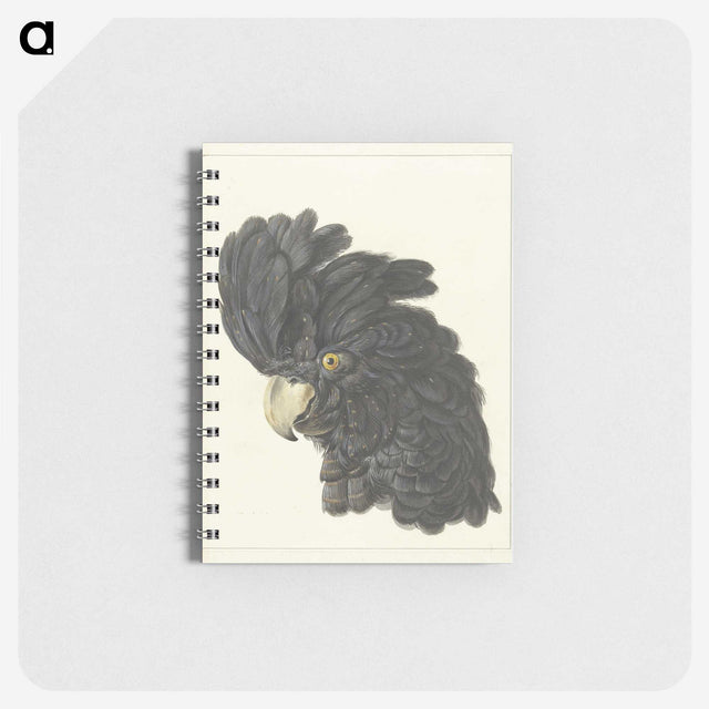 1-31_Aert-Schouman_memo