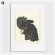1-31_Aert-Schouman_picture