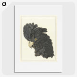 1-31_Aert-Schouman_picture