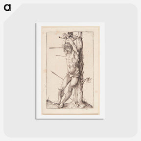 アートポストカード-Saint Sebastian - アルブレヒト デューラー Postcard.