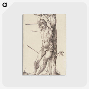 1-31_Albrecht-Durer_postcard
