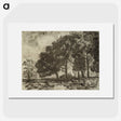 1-31_Alfred-William-Finch_picture