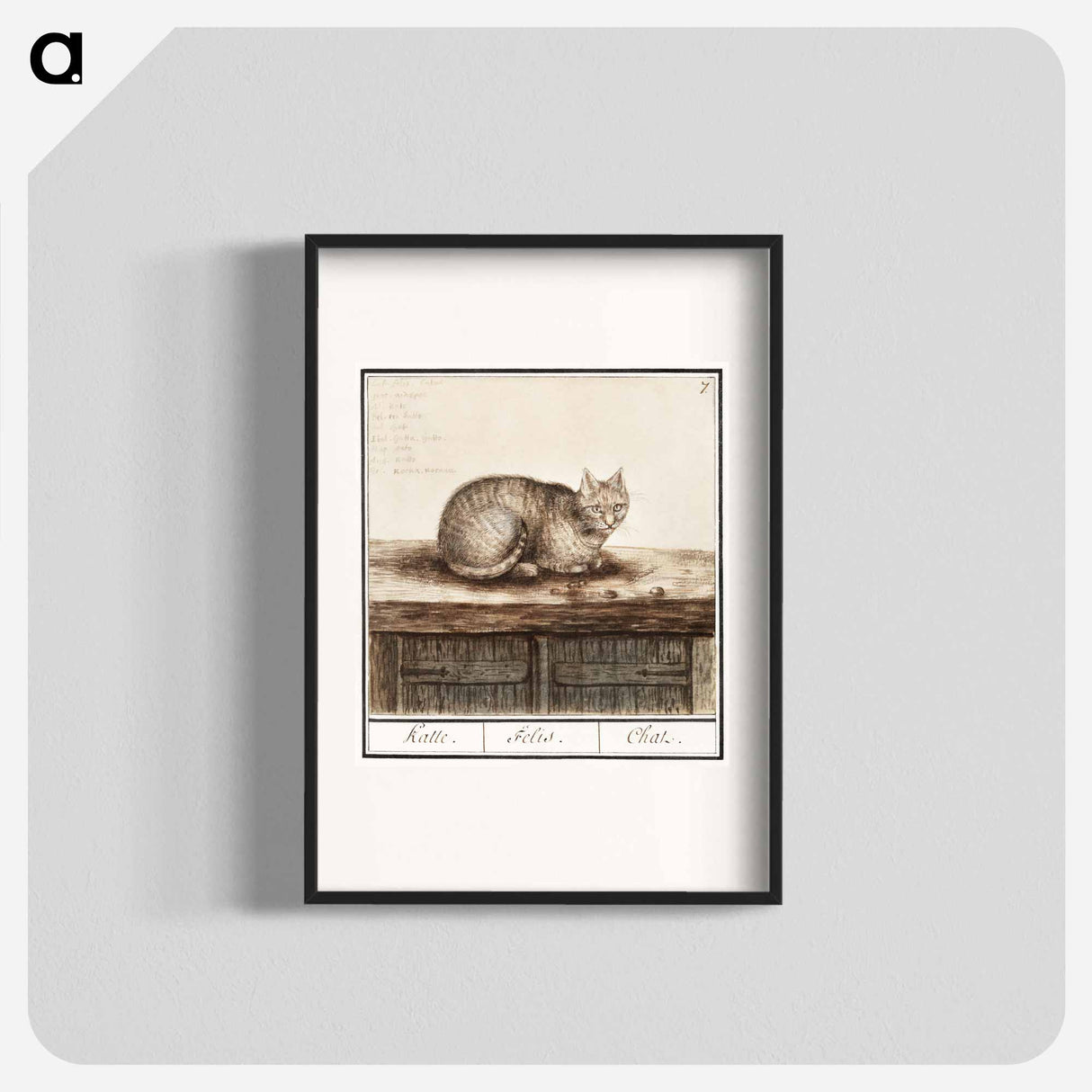 Cat - アンセルムス ボエティウス デ ブート Poster.