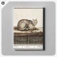 1-31_Anselmus-Boetius-de-Boodt_canvas