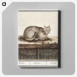 1-31_Anselmus-Boetius-de-Boodt_canvas
