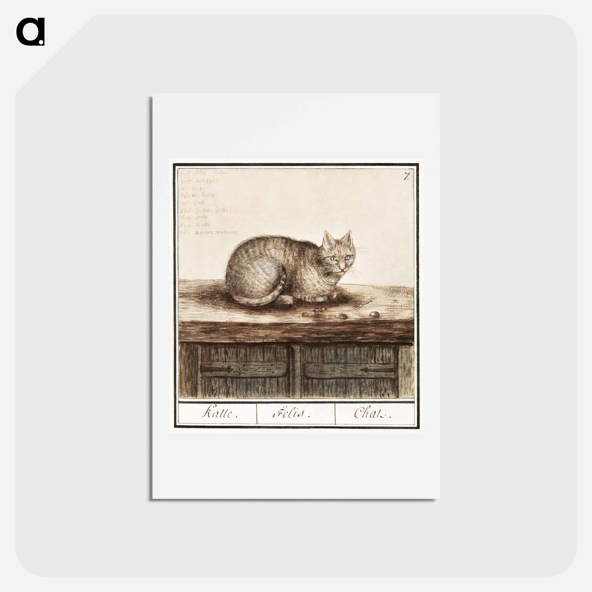 アートポストカード-Cat - アンセルムス ボエティウス デ ブート Postcard.