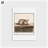 アートポストカード-Cat - アンセルムス ボエティウス デ ブート Postcard.