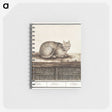 1-31_Anselmus-Boetius-de-Boodt_memo