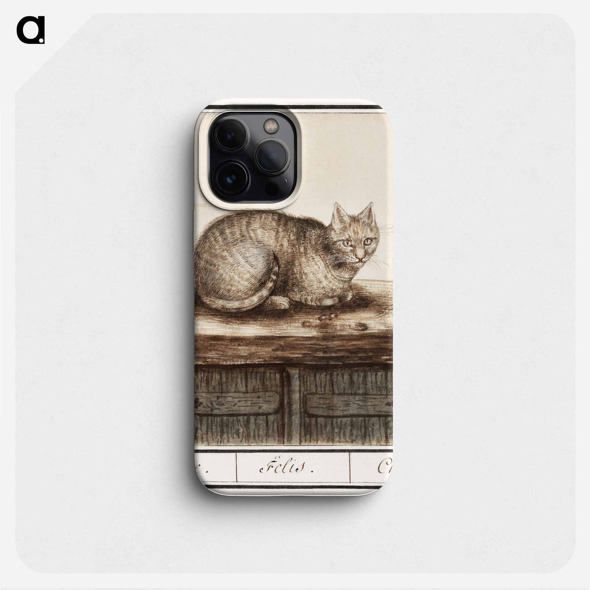 Cat - アンセルムス ボエティウス デ ブート Phone Case.