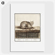 1-31_Anselmus-Boetius-de-Boodt_picture