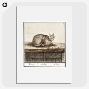 1-31_Anselmus-Boetius-de-Boodt_picture