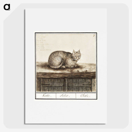 1-31_Anselmus-Boetius-de-Boodt_picture