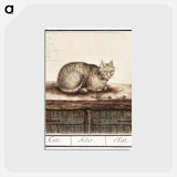 アートポストカード-Cat - アンセルムス ボエティウス デ ブート Postcard.