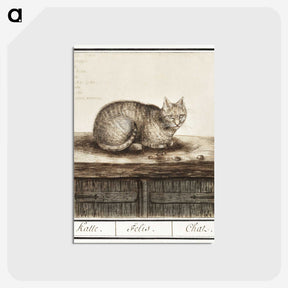 1-31_Anselmus-Boetius-de-Boodt_postcard