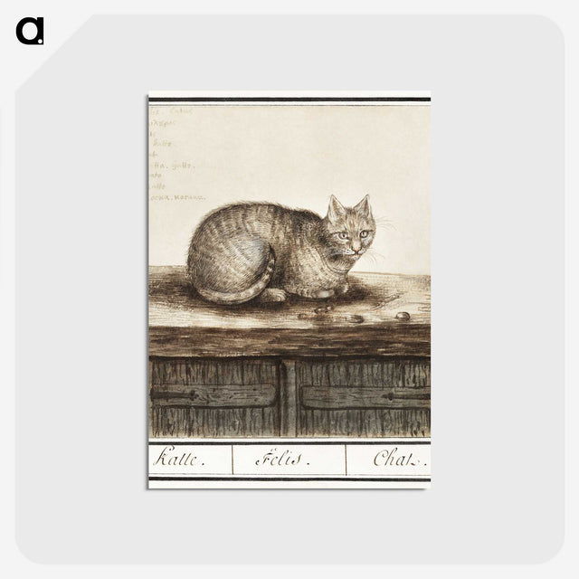 1-31_Anselmus-Boetius-de-Boodt_postcard