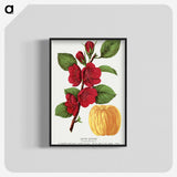 1-31_Botanical-Specimen-Plates_blk-crop