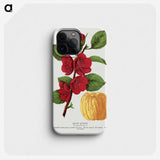 1-31_Botanical-Specimen-Plates_phone