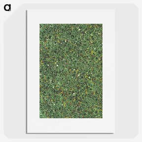 1-31_British-Library_picture