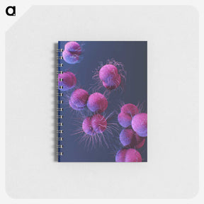 1-31_COVID-19_memo