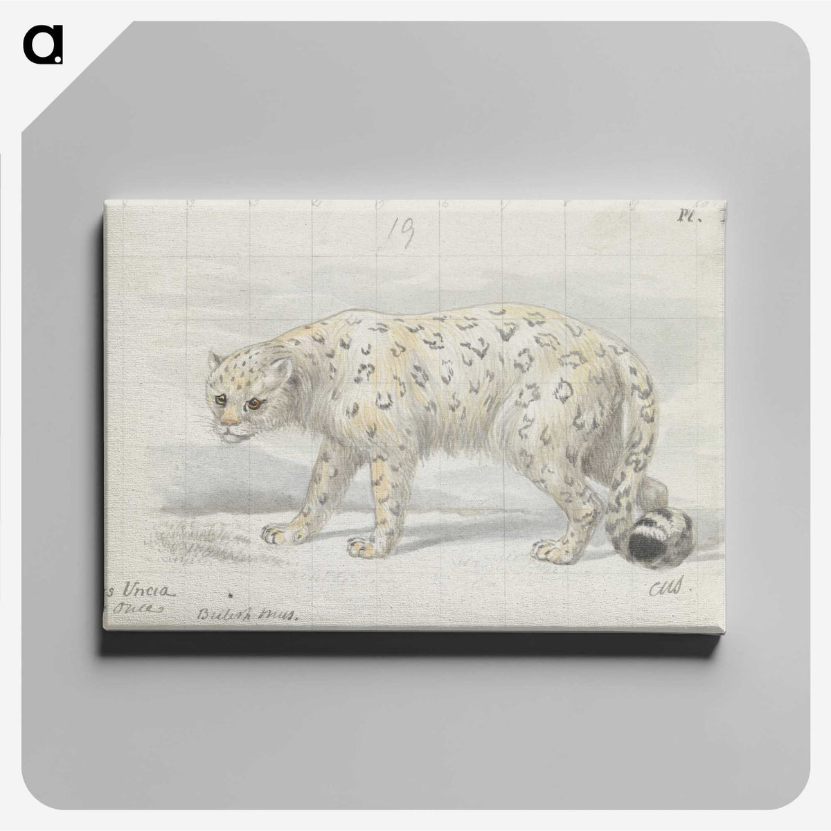 1-31_Charles-Hamilton-Smith_canvas