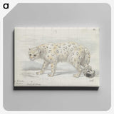 1-31_Charles-Hamilton-Smith_canvas