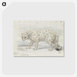 1-31_Charles-Hamilton-Smith_postcard