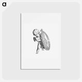 アートポストカード-Cupid from Prentwerk
 - コルネリス プロース ファン アムステル Postcard.