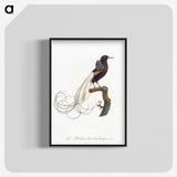 1-31_Des-Oiseaux-de-Paradis_blk-crop