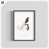 1-31_Des-Oiseaux-de-Paradis_blk