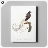 1-31_Des-Oiseaux-de-Paradis_canvas