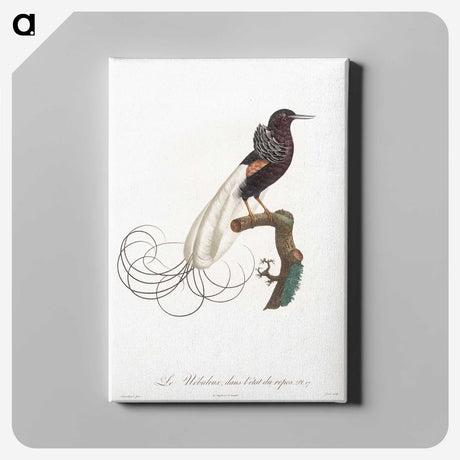1-31_Des-Oiseaux-de-Paradis_canvas