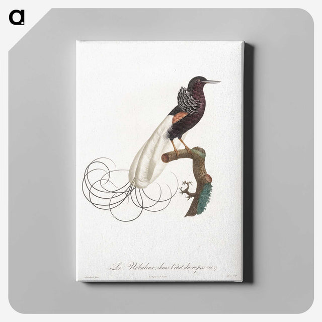 1-31_Des-Oiseaux-de-Paradis_canvas