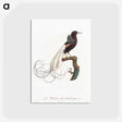 1-31_Des-Oiseaux-de-Paradis_postcard