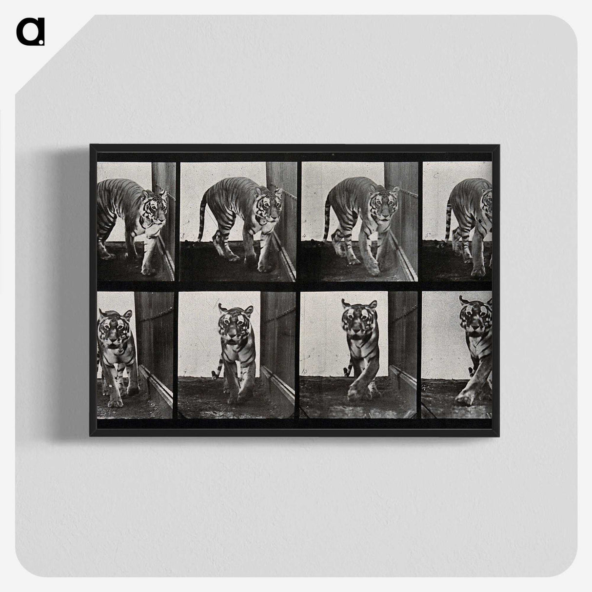 1-31_Eadweard-Muybridge_blk-crop