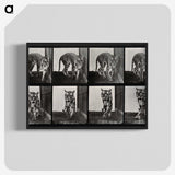 1-31_Eadweard-Muybridge_blk-crop